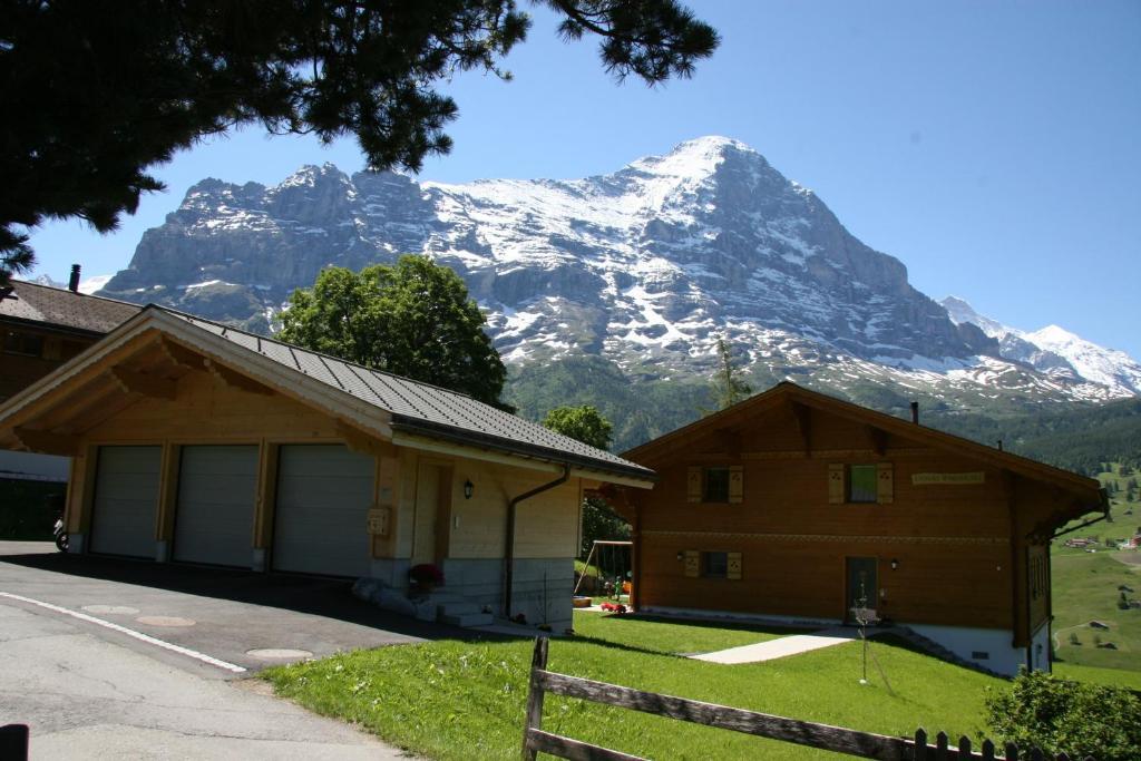 Chalet Baergbaechli Grindelwald Exterior photo