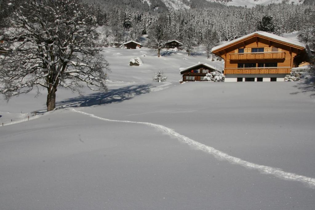 Chalet Baergbaechli Grindelwald Exterior photo