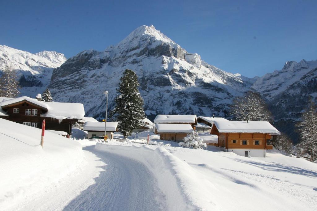 Chalet Baergbaechli Grindelwald Exterior photo